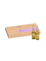 YUNSEY VIGORANCE EQUILIBRE TRATAMIENTO ANTICAÍDA EN AMPOLLAS 10 Ampollas de 10ML cada una
