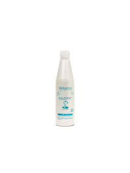 Salerm 21 Silk Protein leave in conditioner con proteína de seda Nutrición profunda con o sin aclarado 250ml